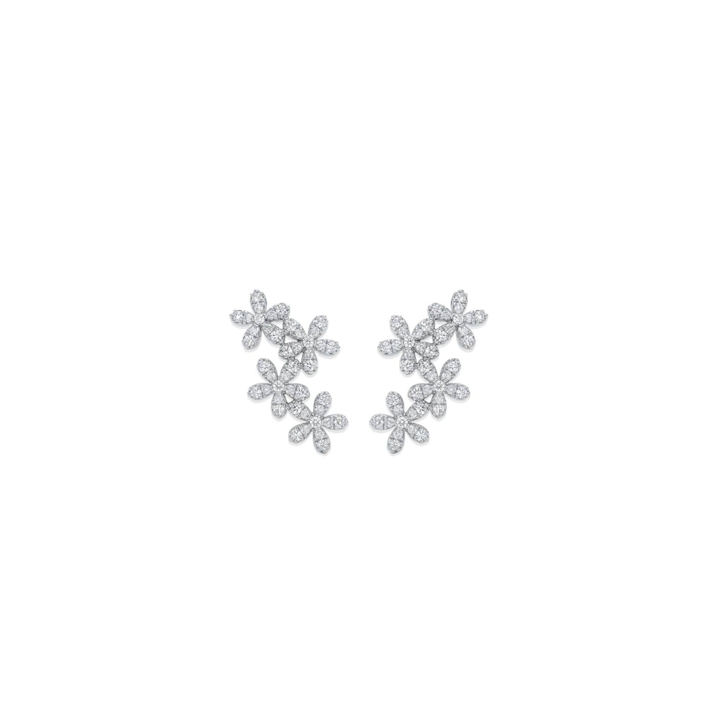 Blooming Daisy Earrings - Silver Rhodium Plated