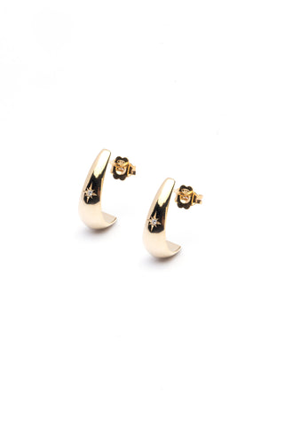 Hook with One Star Pair Earrings - Gold Plated